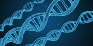 evolutionary basis for obsessive personality