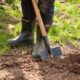 Should You Unearth the Past? How Looking Back Can Help us Move Forward