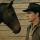 Breaking Horses: 6 Signs That You’re Micromanaging